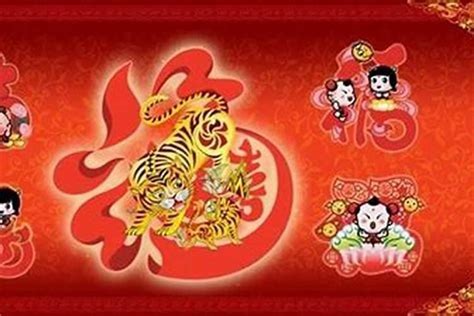 丙寅年生肖|哪些年份属虎，不同年份出生属虎人命运解析